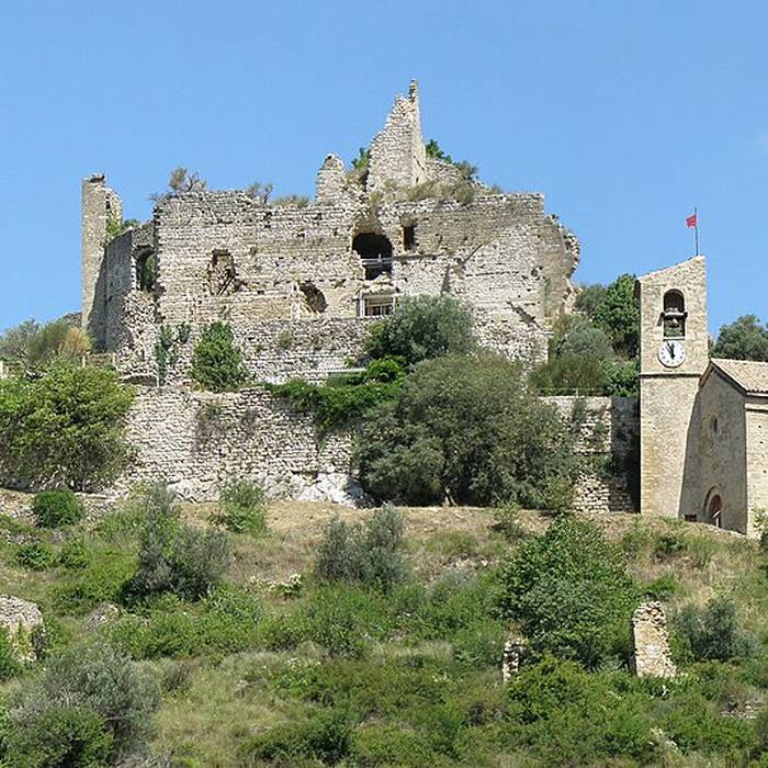 Photo de Ruines du Château dEntrechaux